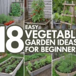 22 Small Backyard Garden Ideas