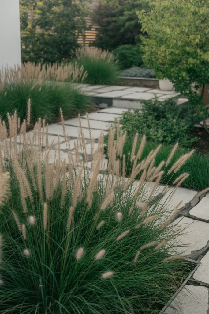 Ornamental Grass Garden