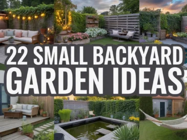 Small Backyard Garden Ideas