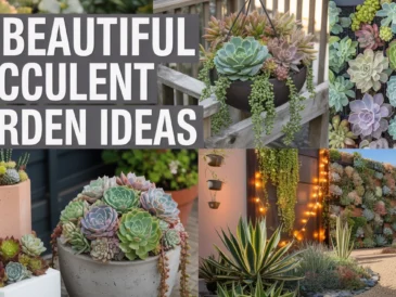 Beautiful Succulent Garden Ideas