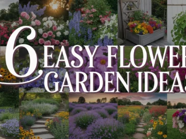 Easy Flower Garden Ideas