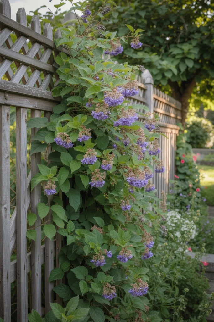 Fence-Mounted Trellis
