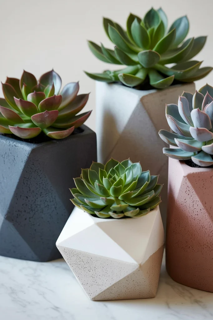 Geometric Succulent Display