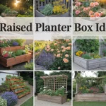 17 Vegetable Garden Layout Ideas