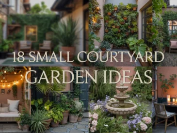 Small Courtyard Garden Ideas
