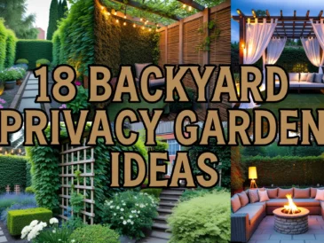 Backyard Privacy Garden Ideas