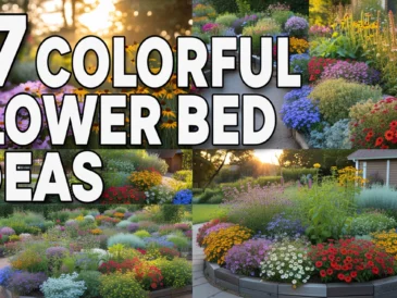 Colorful Flower Bed Ideas