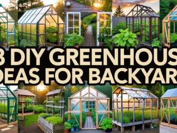 DIY Greenhouse Ideas for Backyard