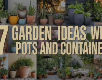 Garden Ideas with Pots and Containers