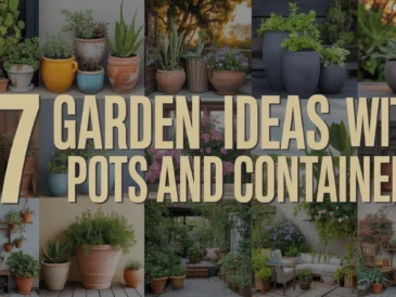 Garden Ideas with Pots and Containers