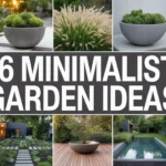 18 Tropical Garden Ideas for Backyard