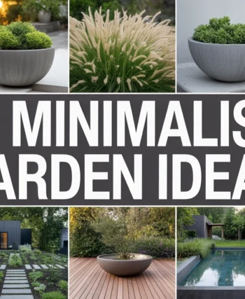 Minimalist Garden Ideas