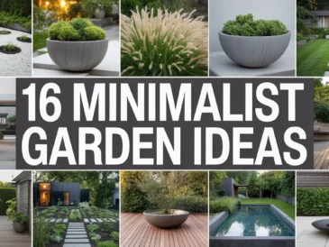 Minimalist Garden Ideas